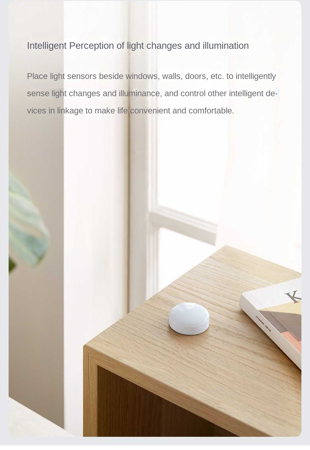 Aqara Light Sensor T1 Zigbee 3 - Smart Garden Xiaomi ulasan dan harga