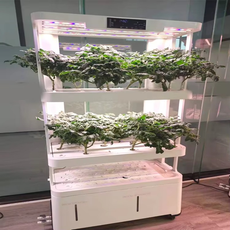 Home Smart Vertical Hydroponic - Smart Garden Vertical Planter ulasan dan harga