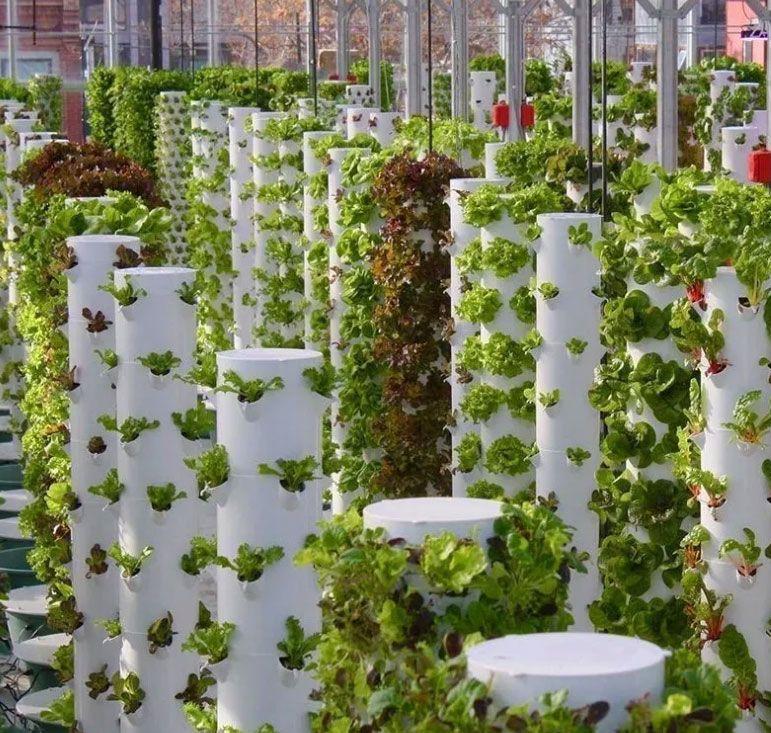 Indoor Smart Garden Kit 30-Pla - Smart Garden Vertical Planter ulasan dan harga