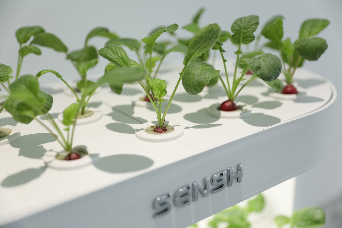 Smart Home Hydroponic Garden K - Smart Garden Vertical Planter ulasan dan harga