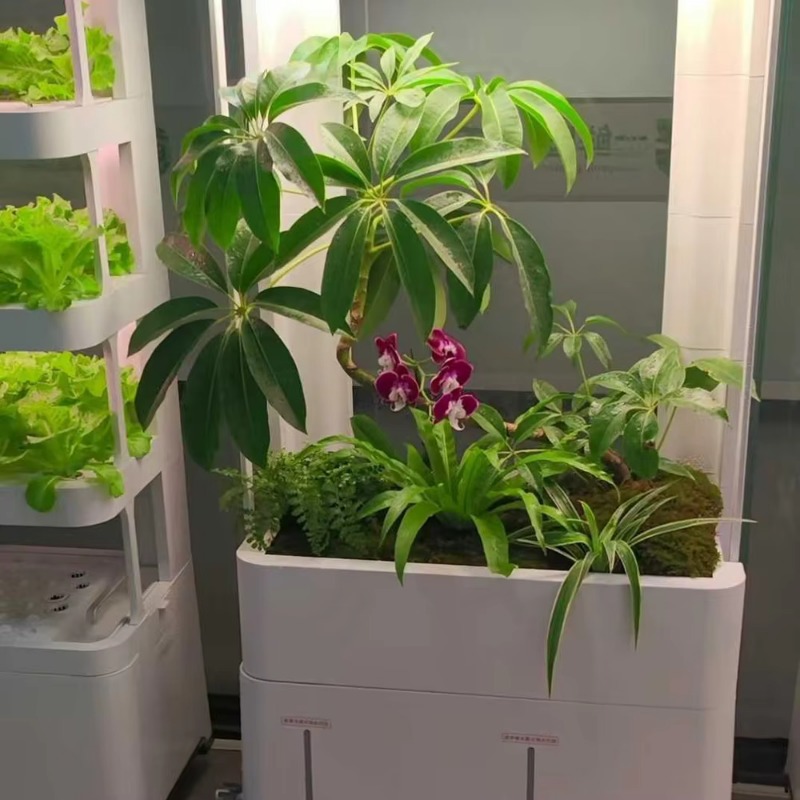 Seeda Indoor Vertical Hydropon - Smart Garden Vertical Planter ulasan dan harga