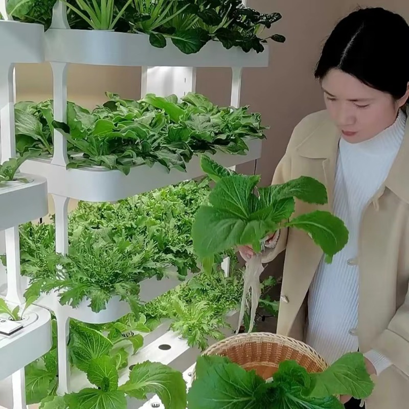 Seeda Indoor Vertical Hydropon - Smart Garden Vertical Planter ulasan dan harga