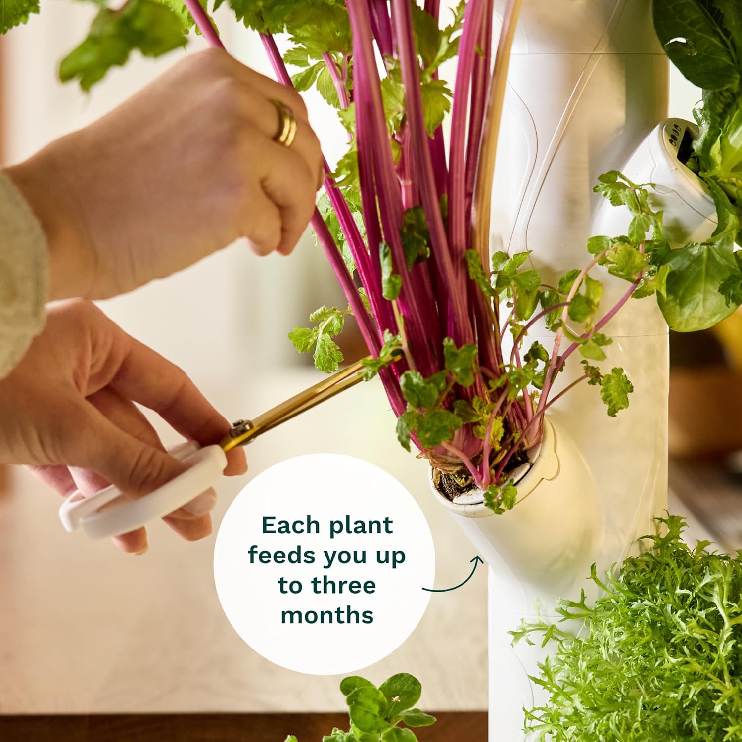 Smart Indoor Gardening System  - Smart Garden Vertical Planter ulasan dan harga