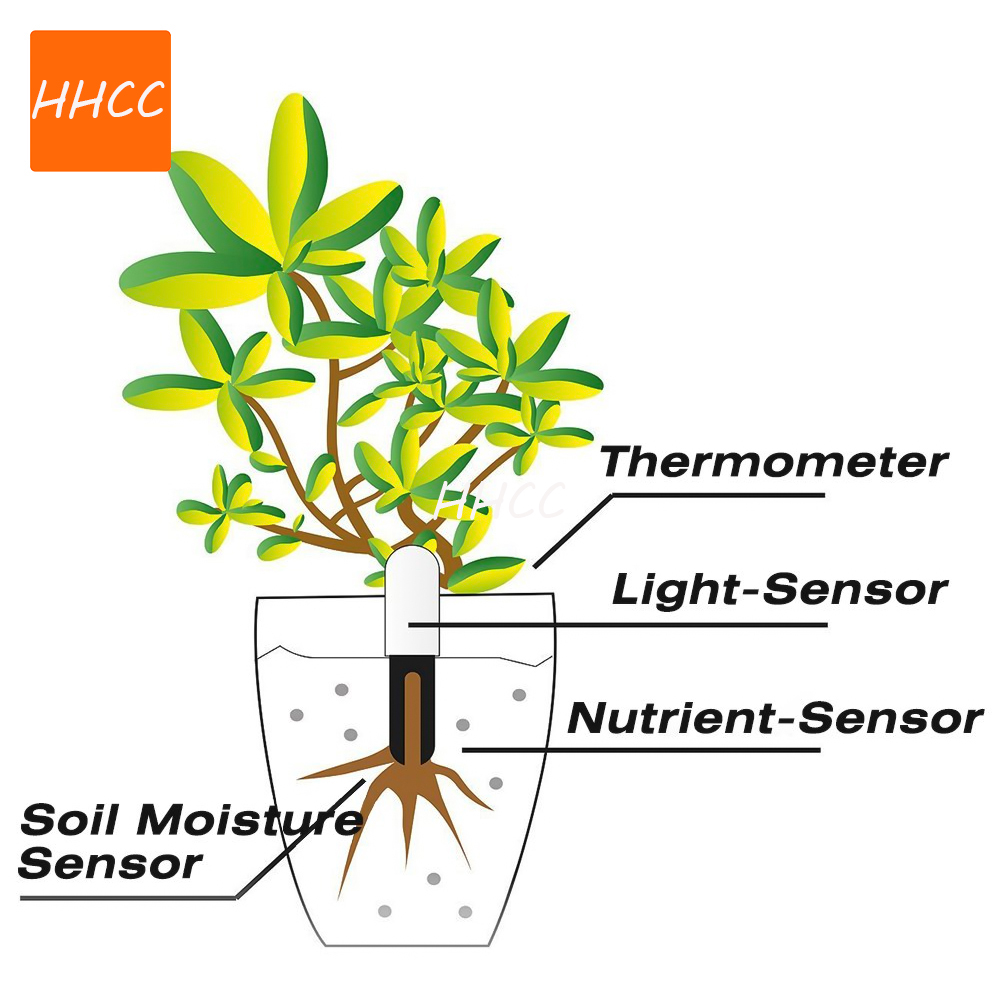HHCC Flower Care Smart Plant M - Smart Garden Xiaomi ulasan dan harga