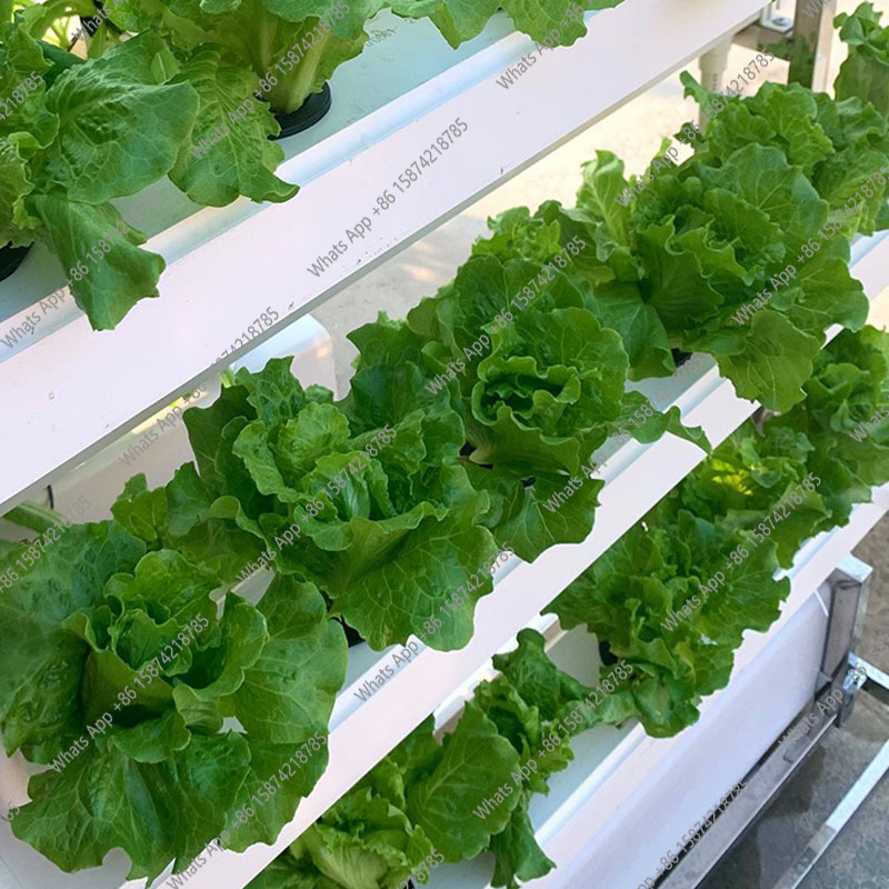 Hydroponics Growing System Veg - Smart Garden Vertical Planter ulasan dan harga